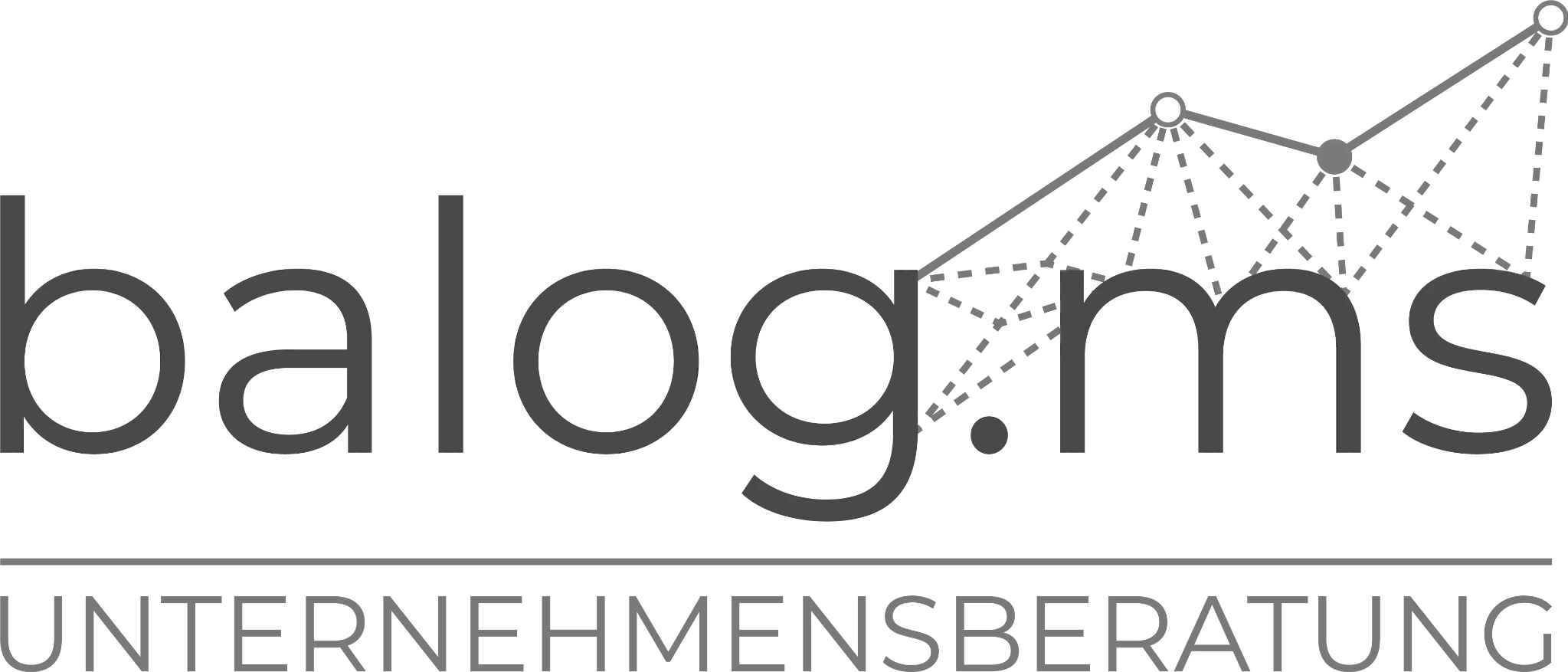 balog.ms Unternehmensberatung